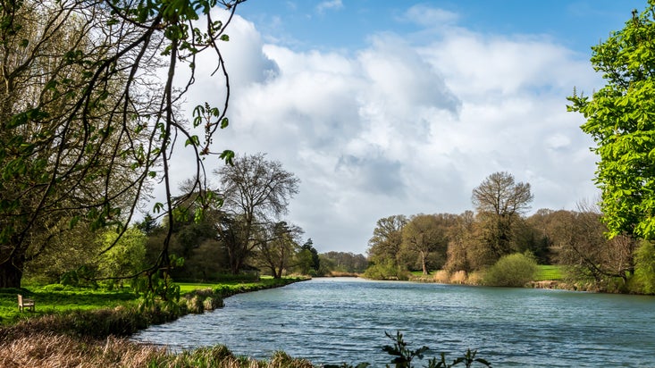 A view of the lake at The Vyne in spring.